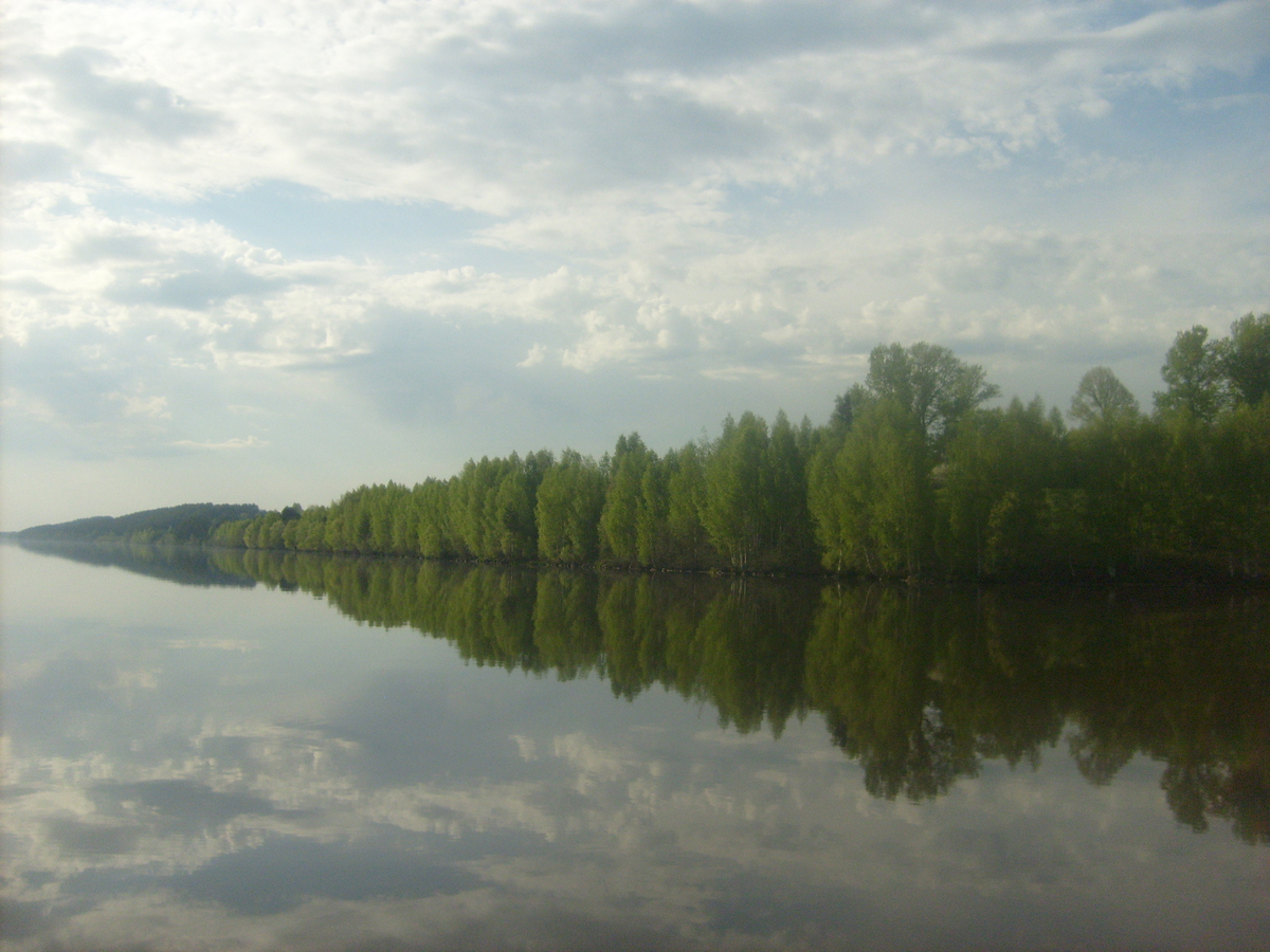 Берег р. Волга.